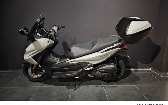 Gebrauchtmotorrad Honda Forza 125 - Bild 2