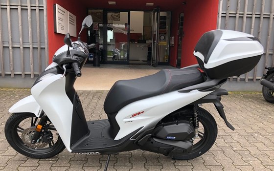Neufahrzeug Honda SH150i - Bild 1