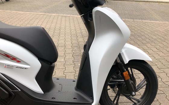 Neufahrzeug Honda SH150i - Bild 13
