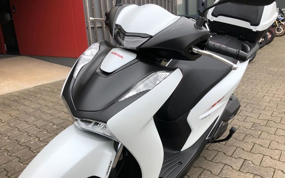 Neufahrzeug Honda SH150i - Bild 8