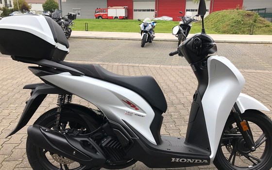 Neufahrzeug Honda SH150i - Bild 9