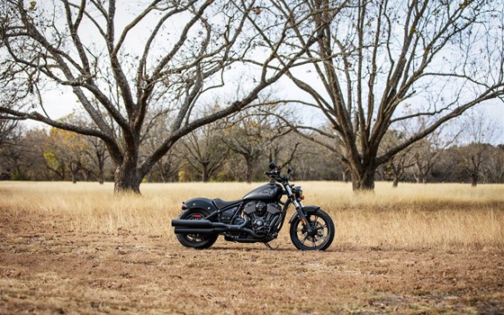 Neufahrzeug Indian Chief Dark Horse - Bild 2