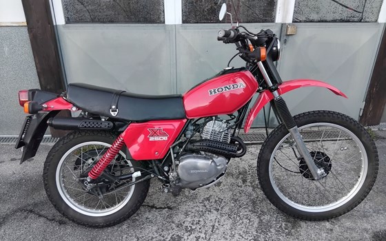 Gebrauchtmotorrad Honda XL 250 - Bild 10