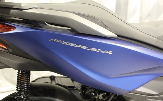 Gebrauchtmotorrad Honda Forza 125 - Bild 2