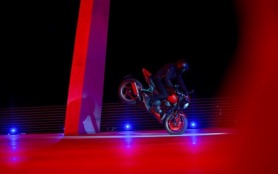 Neufahrzeug Triumph Trident 800 - Bild 5