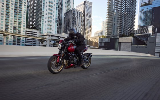 Neufahrzeug Triumph Trident 800 - Bild 11