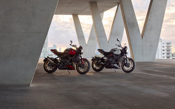 Neufahrzeug Triumph Trident 800 - Bild 1
