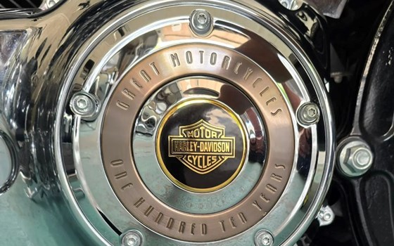 Offerta Harley-Davidson Softail Heritage Classic FLSTC - Immagine 10