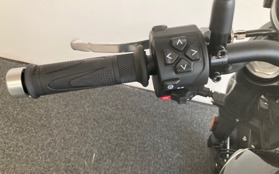 Neufahrzeug Triumph Speed Twin 900 - Bild 18