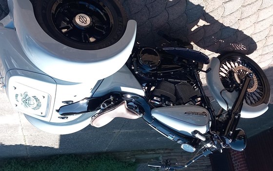 Gebrauchtmotorrad Harley-Davidson Freewheeler - Bild 1