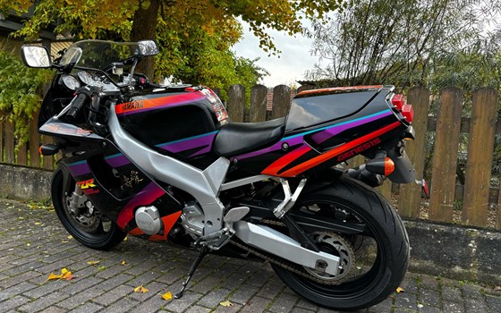 Gebrauchtmotorrad Yamaha FZR 600  Genesis - Bild 7