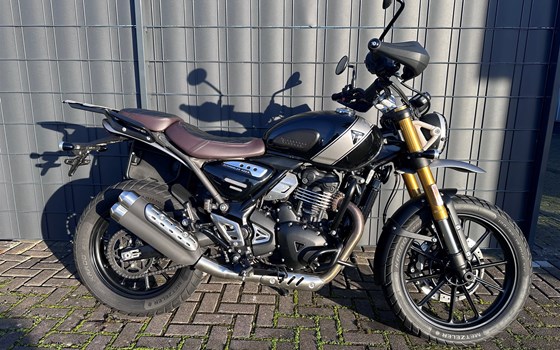 Gebrauchtmotorrad Triumph Scrambler 400 X - Bild 1