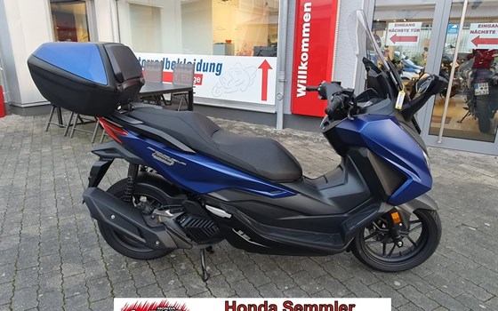 Gebrauchtmotorrad Honda Forza 125 - Bild 1