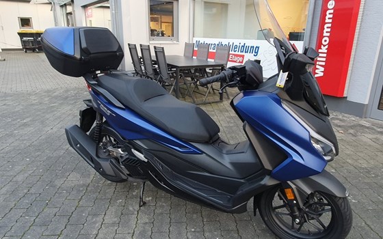 Gebrauchtmotorrad Honda Forza 125 - Bild 2