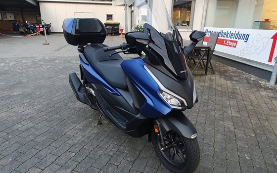Gebrauchtmotorrad Honda Forza 125 - Bild 3