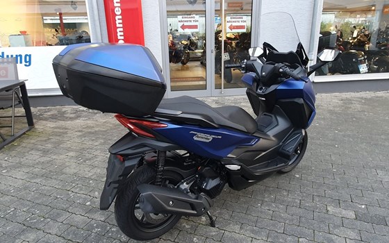 Gebrauchtmotorrad Honda Forza 125 - Bild 5