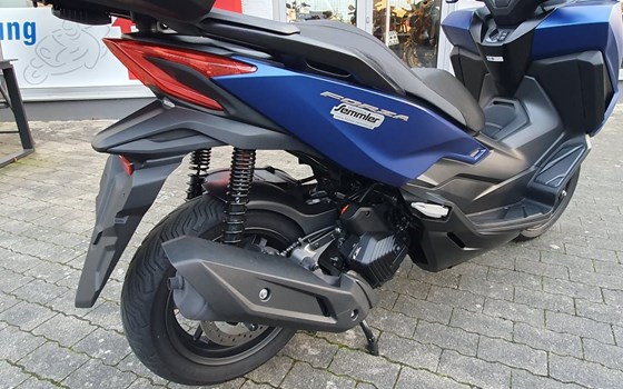 Gebrauchtmotorrad Honda Forza 125 - Bild 6