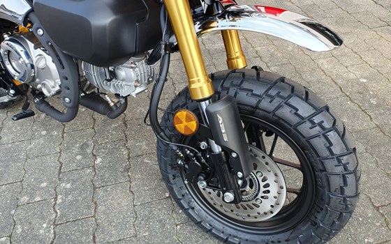 Neufahrzeug Honda Monkey 125 - Bild 4