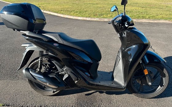 Gebrauchtmotorrad Honda SH125 - Bild 3