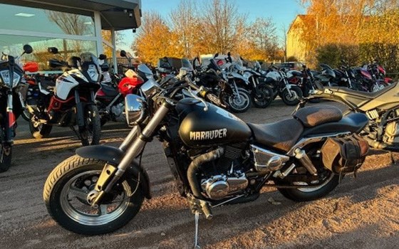 Gebrauchtmotorrad Suzuki VZ 800 Marauder - Bild 2