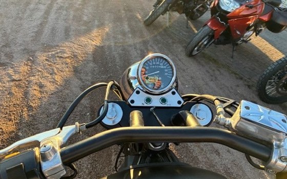 Gebrauchtmotorrad Suzuki VZ 800 Marauder - Bild 9