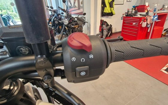 Neufahrzeug Royal Enfield Himalayan 450 - Bild 10