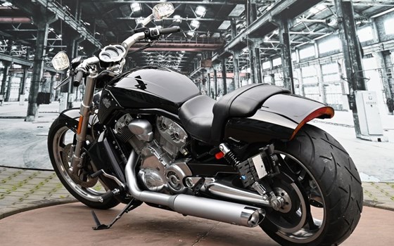 Gebrauchtmotorrad Harley-Davidson V-Rod Muscle VRSCF - Bild 14