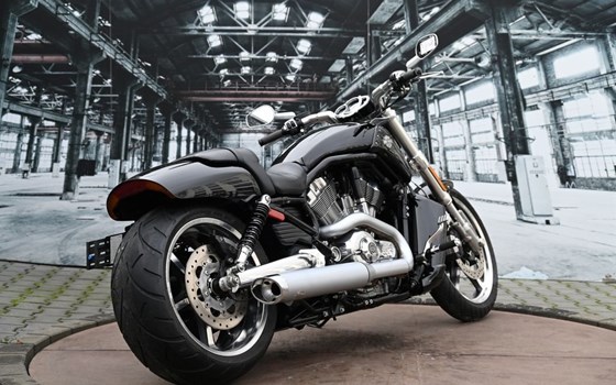 Gebrauchtmotorrad Harley-Davidson V-Rod Muscle VRSCF - Bild 15