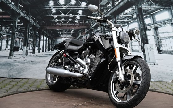 Gebrauchtmotorrad Harley-Davidson V-Rod Muscle VRSCF - Bild 6