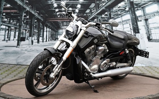 Gebrauchtmotorrad Harley-Davidson V-Rod Muscle VRSCF - Bild 7
