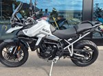 Angebot Triumph Tiger 900 GT