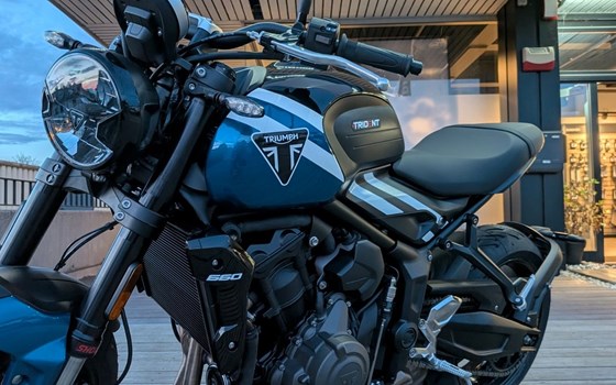 Gebrauchtmotorrad Triumph Trident 660 - Bild 9