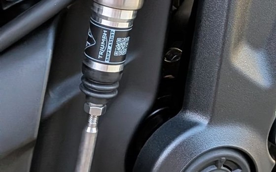 Gebrauchtmotorrad Triumph Trident 660 - Bild 9