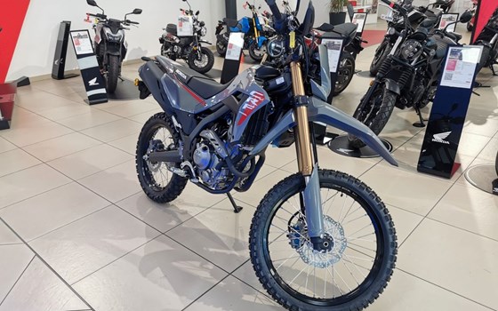 Neufahrzeug Honda CRF300L - Bild 1
