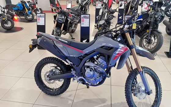 Neufahrzeug Honda CRF300L - Bild 2