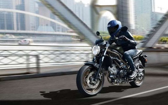 Neufahrzeug Suzuki SV650 - Bild 9