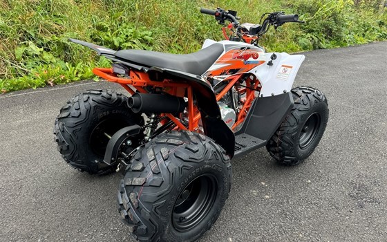 Neufahrzeug Kayo AT 125 - Bild 5