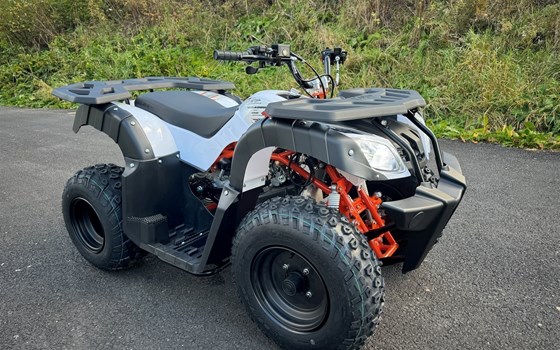 Neufahrzeug Kayo AU 150 - Bild 1