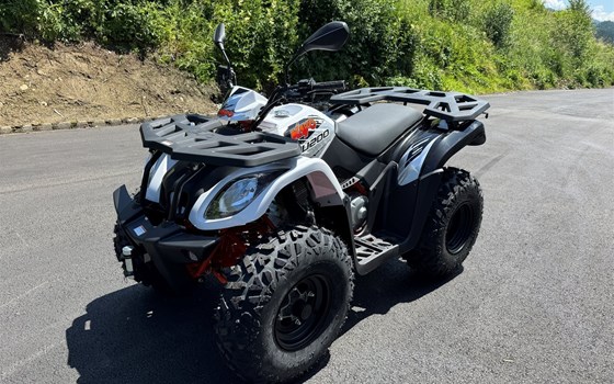 Neufahrzeug Kayo AU 200 - Bild 5