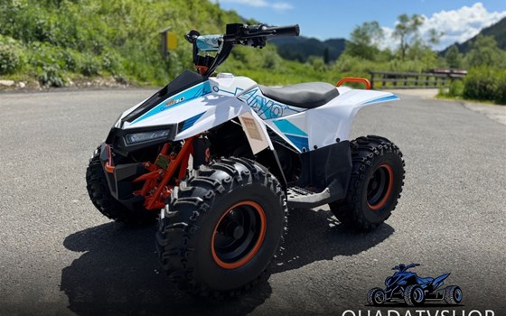 Neufahrzeug Kayo Fox 70 - Bild 1