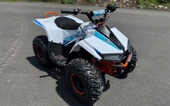 Neufahrzeug Kayo Fox 70 - Bild 2