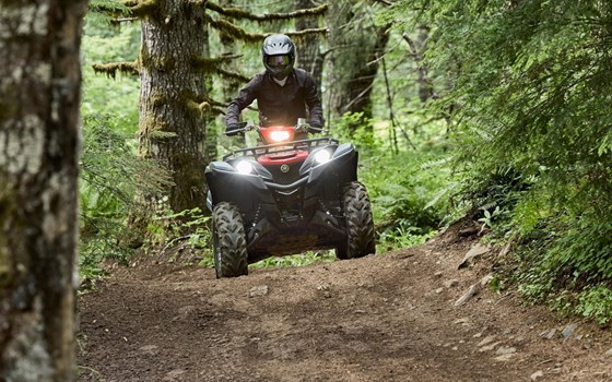 Neufahrzeug Yamaha Grizzly 700 EPS - Bild 6