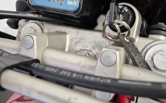 Gebrauchtmotorrad Kawasaki KLR 650 - Bild 4