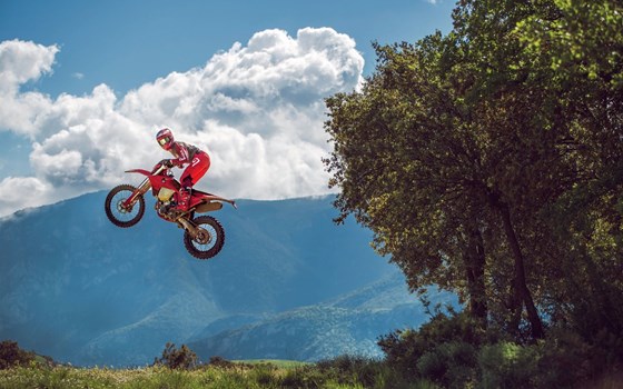 Neufahrzeug GASGAS EC 350F - Bild 2