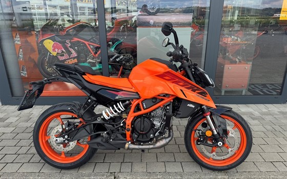 Neufahrzeug KTM 390 Duke - Bild 2