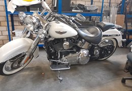 Gebrauchte Harley-Davidson Softail Deluxe FLSTN