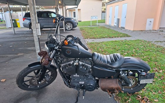 Gebrauchtmotorrad Harley-Davidson Sportster XL 883 N Iron - Bild 1
