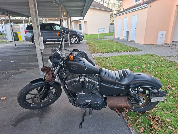 Gebrauchtmotorrad Harley-Davidson Sportster XL 883 N Iron