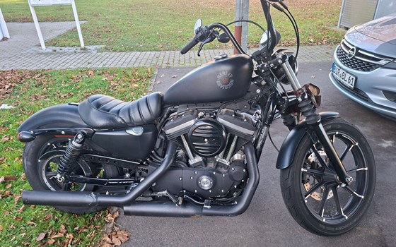 Gebrauchtmotorrad Harley-Davidson Sportster XL 883 N Iron - Bild 2