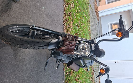 Gebrauchtmotorrad Harley-Davidson Sportster XL 883 N Iron - Bild 4